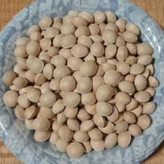 ぎんなん (Ｌサイズ程度) 850gのサムネイル