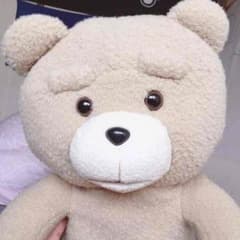 テッドのサムネイル