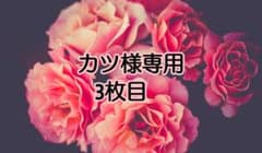 専用ページのサムネイル