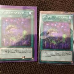 プレデタープランターのサムネイル