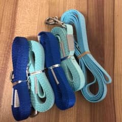 小型犬用　リードセット　男の子用5本のサムネイル