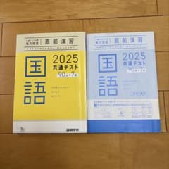 共通テスト対策実力完成 直前演習 国語2025のサムネイル