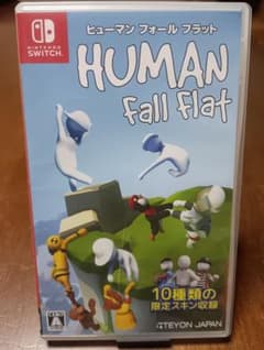 ヒューマンフォールフラット(送料込み)のサムネイル
