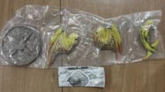 몬스터 헌터 포획대 4 레 다우