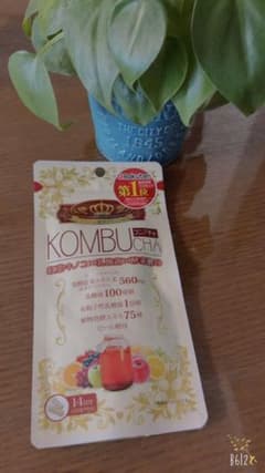 ＫＯＭＢＵＣＨＡ　42粒【正規品】のサムネイル