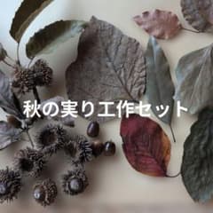 秋の実り工作セット 枝付きどんぐり 2種のサムネイル