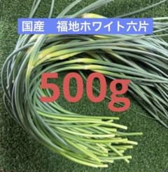 期間限定　福地ホワイト六片にんにくの芽　 500g農家直送のサムネイル