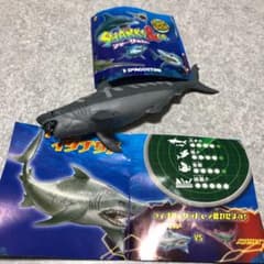 明星様専用　お待たせしましたのサムネイル