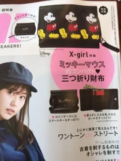 ミニ付録 mini付録  新品、未使用のサムネイル