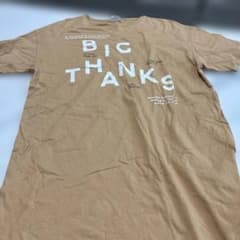 ZARA ベージュ BIG THANKS Tシャツ 11-12歳のサムネイル