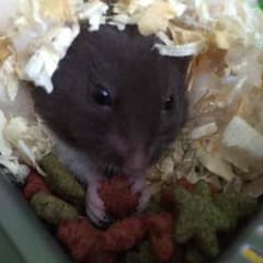 りっくん。様専用のサムネイル