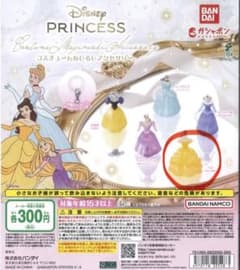 당일 발송 반다이 디즈니 프린세스 코스튬 미지루시 액세서리