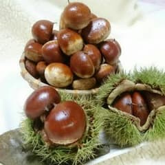 夏休み様  専用☆のサムネイル