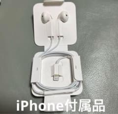 iPhone 순정 이어폰 Apple