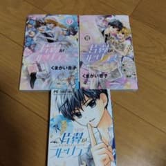 片翼のラビリンス 91011巻セットのサムネイル