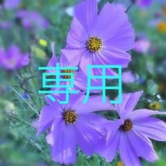 B-アップ リンリン様専用のサムネイル