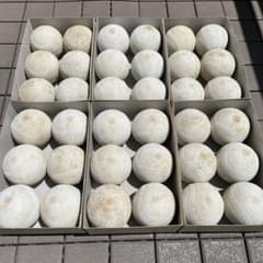 中古　ソフトボール３号球　３６球のサムネイル