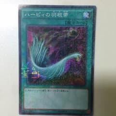 ハーピーの羽根箒のサムネイル