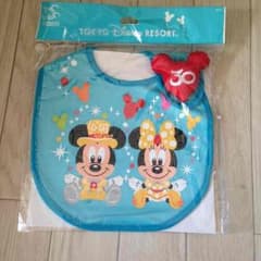 新品未開封 ディズニーリゾート 30周年記念スタイのサムネイル