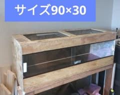コスパ重視！自作爬虫類ケージ(未使用) m38619970993_1.jpg?1745725236