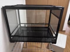 got様専用パンテオン6045のサムネイル