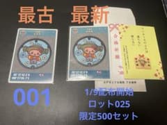 マンホールカード茨城県水戸市 2枚セット レアな初期ロットと限定500