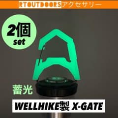 [축광]골 제로 ZIG 엑스게이트 X-GATE 2개 앰버 글로브 없음