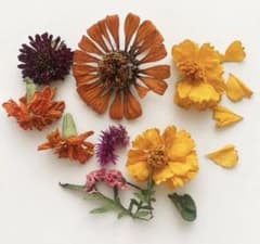 ドライフラワー 花材 詰め合わせ ハンドメイド素材のサムネイル