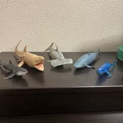 サメ フィギュア 5体 セット まとめ売りのサムネイル