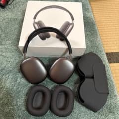 Apple AirPods Max スペースグレー ケース 交換用イヤーパッドのサムネイル