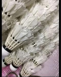中古シャトル200球〜個数希望をお伝え下さいのサムネイル