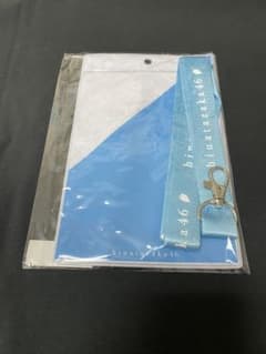 【新品未開封】日向坂46 キュン チケットホルダー 生写真ホルダーのサムネイル