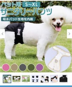 サニタリーパンツ　大型犬　犬のサムネイル