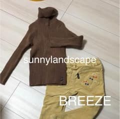 sunnylandscape BREEZE100セットのサムネイル