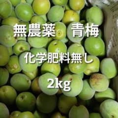 無農薬 青梅 2kg 訳あり【60サイズ2kg以上】D - メルカリ