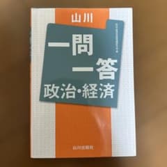 山川一問一答 政治・経済のサムネイル