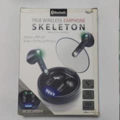 TRUE WIRELESS EARPHONE SKELETONのサムネイル