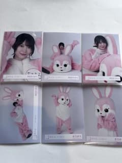 森田ひかる まろまろ 櫻坂46 見つけて櫻坂うさぎ 生写真 6種 コンプ 