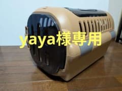 Richell キャンピングキャリーファインダブルドアSのサムネイル