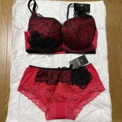 サルート　WACOALブラジャーG65＆ショーツM セットのサムネイル