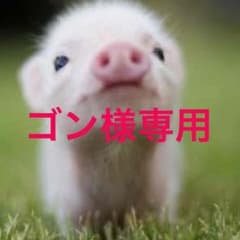 テニスシューズ (室内コート用)のサムネイル