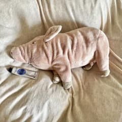 IKEA公式商品】イケア ぬいぐるみ ピンク 豚 - メルカリ