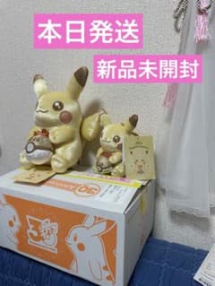 ポケモン 30周年記念 ピカピカ！ピカチュウ ぬいぐるみ マスコット 2点