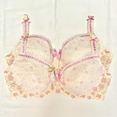 リズサーム 花柄レースブラジャー E 105 2枚☆セットのサムネイル