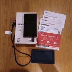 SONY ポータル音楽プレイヤー NW-A306 32GBのサムネイル