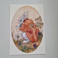 해외 엽서 이상한 나라의 앨리스