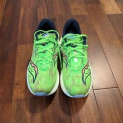SAUCONY Endorphin Pro3　28.0cmのサムネイル
