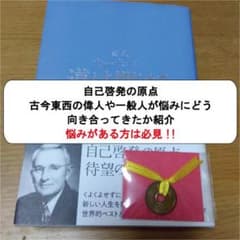 超訳カーネギー道は開けるのサムネイル