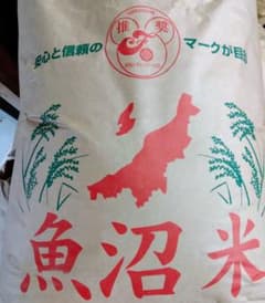 令和8年産 魚沼産コシヒカリ【中米】精米10kg - メルカリ