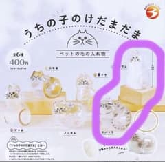 うちの子のけだまだま　ハチワレ＆サバトラのサムネイル